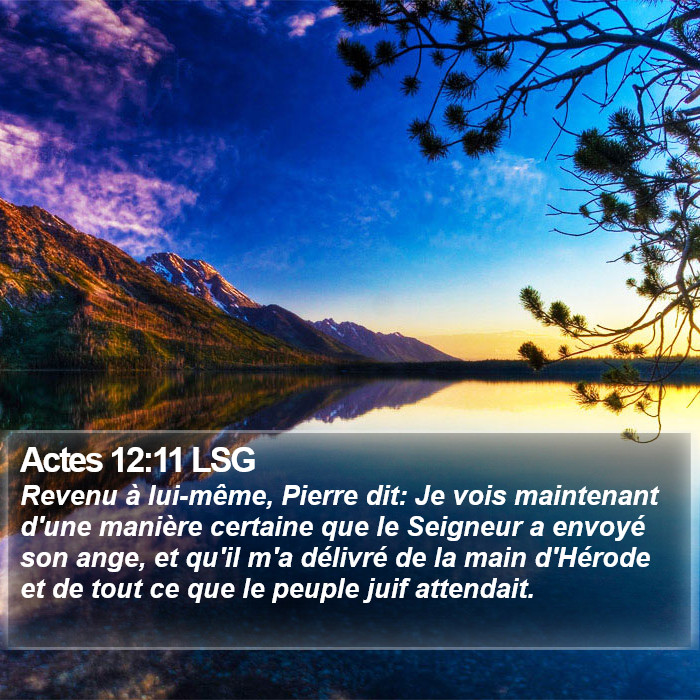 Actes 12:11 LSG Bible Study