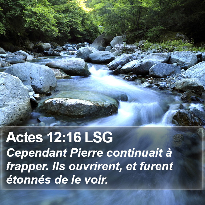 Actes 12:16 LSG Bible Study