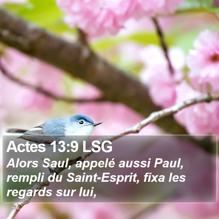 Actes 13:9 LSG Bible Study