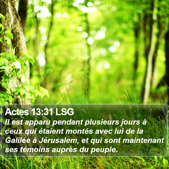 Actes 13:31 LSG Bible Study