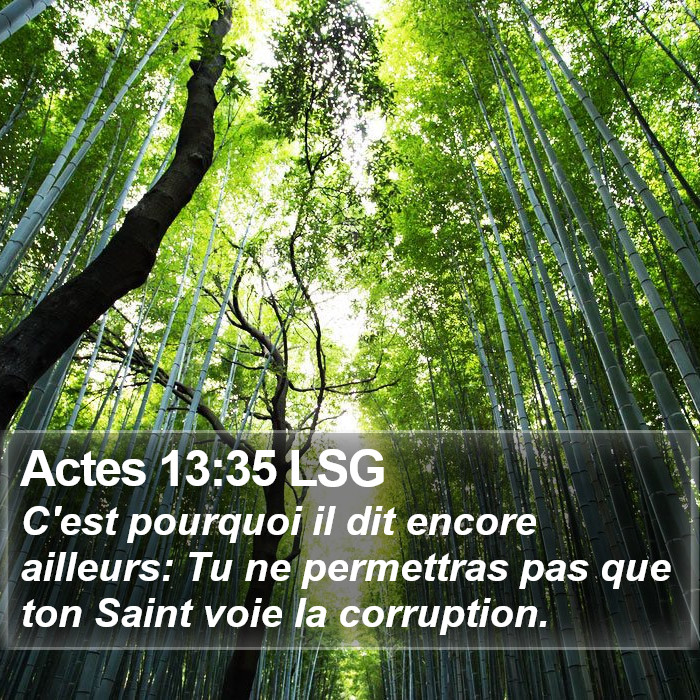 Actes 13:35 LSG Bible Study