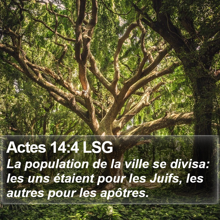 Actes 14:4 LSG Bible Study