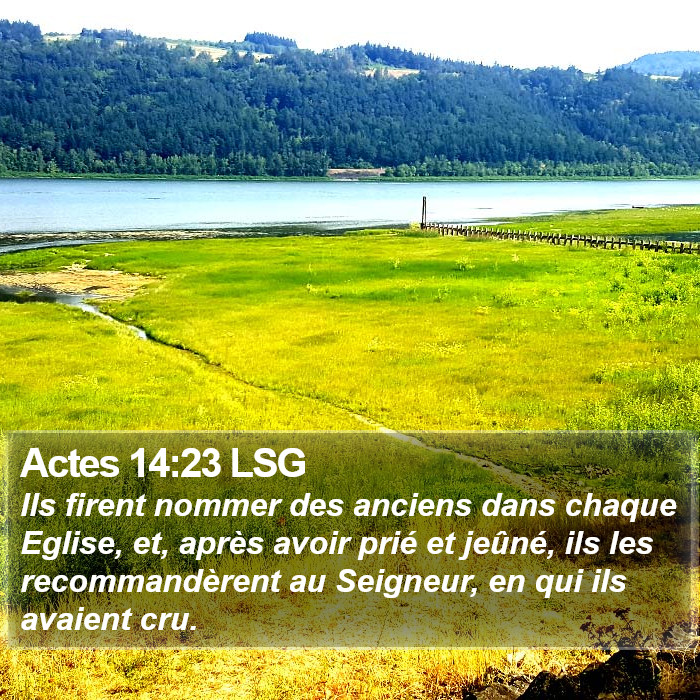 Actes 14:23 LSG Bible Study