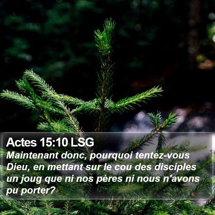 Actes 15:10 LSG Bible Study