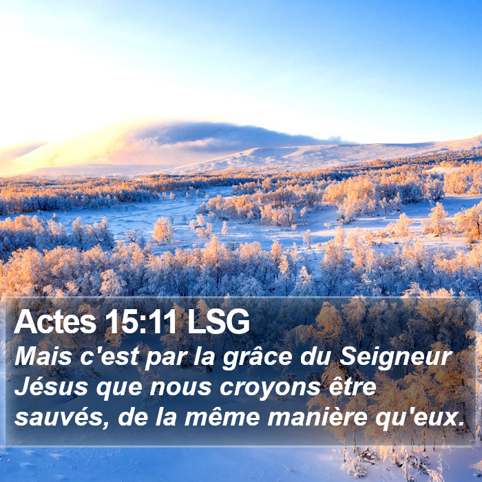 Actes 15:11 LSG Bible Study