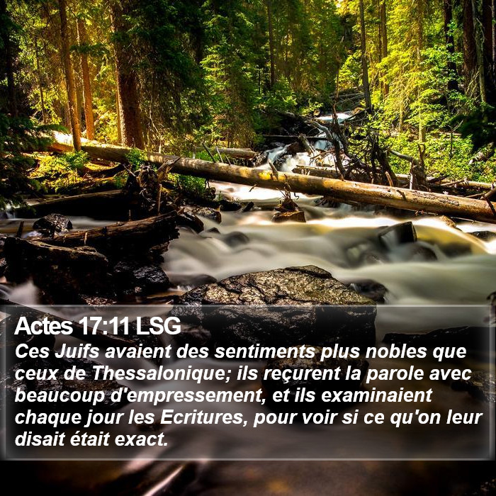 Actes 17:11 LSG Bible Study