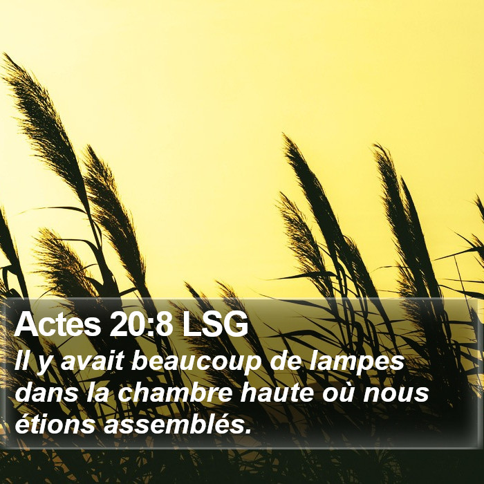 Actes 20:8 LSG Bible Study