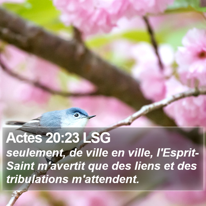 Actes 20:23 LSG Bible Study