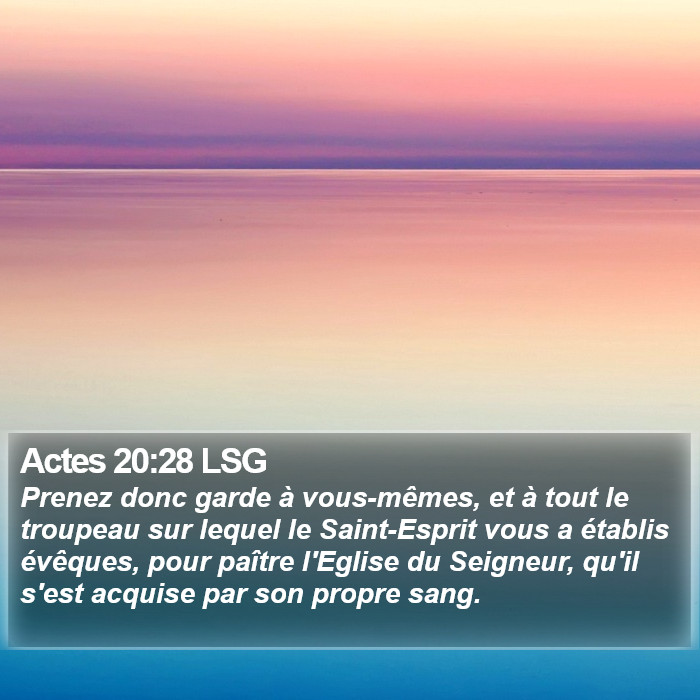 Actes 20:28 LSG Bible Study