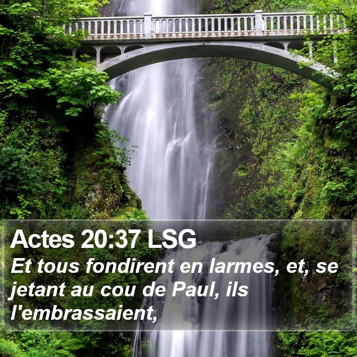 Actes 20:37 LSG Bible Study