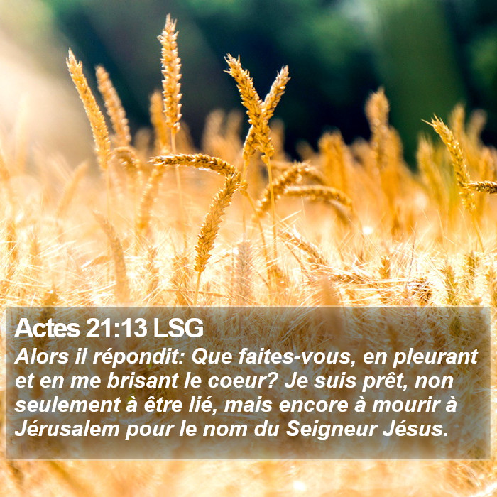 Actes 21:13 LSG Bible Study