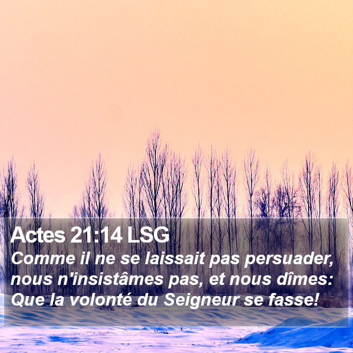 Actes 21:14 LSG Bible Study