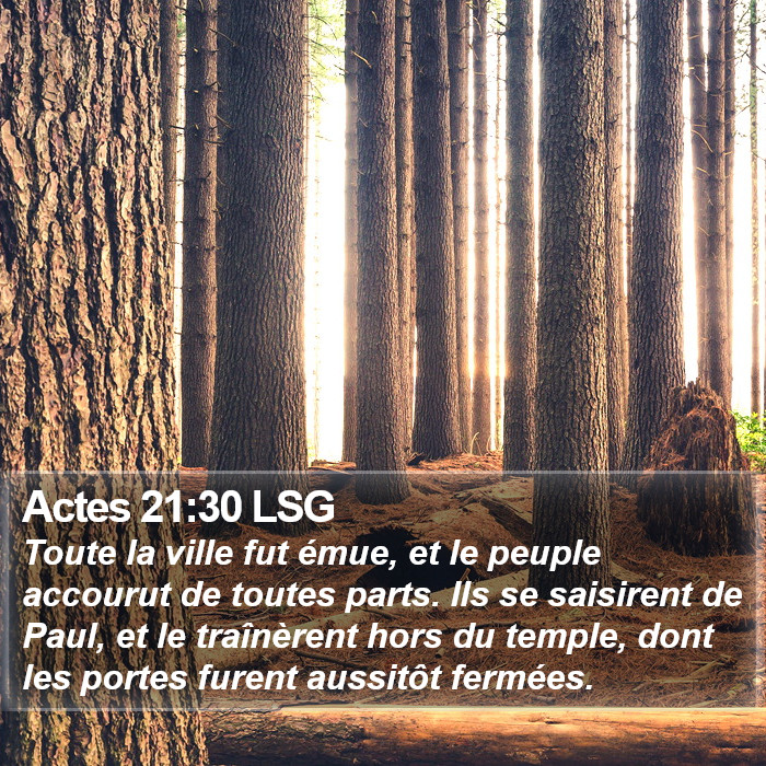 Actes 21:30 LSG Bible Study