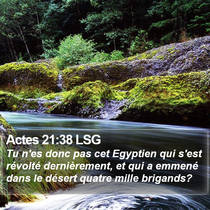 Actes 21:38 LSG Bible Study