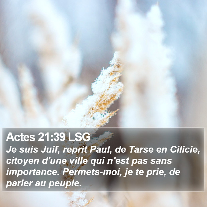Actes 21:39 LSG Bible Study