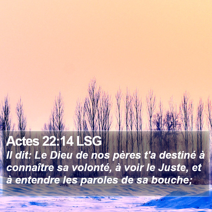 Actes 22:14 LSG Bible Study