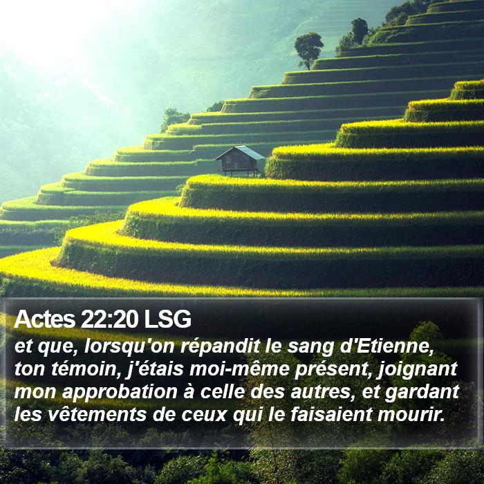 Actes 22:20 LSG Bible Study