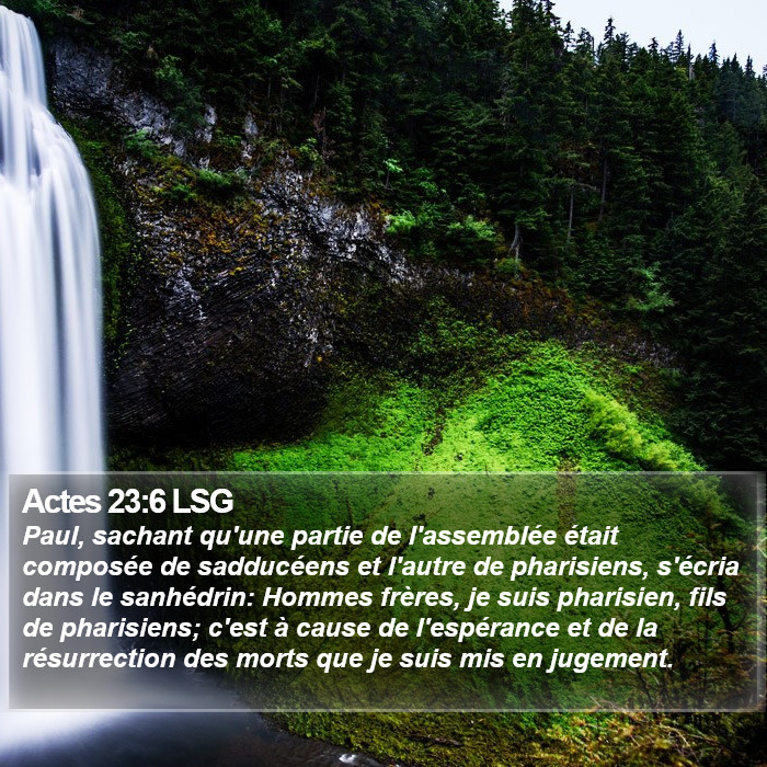 Actes 23:6 LSG Bible Study