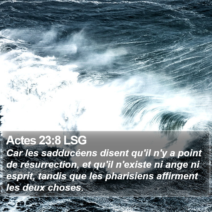 Actes 23:8 LSG Bible Study