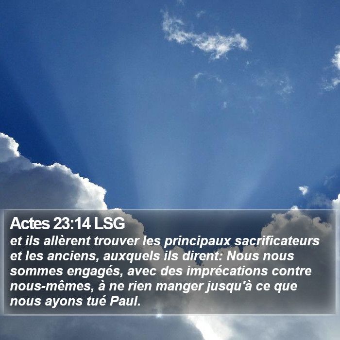 Actes 23:14 LSG Bible Study