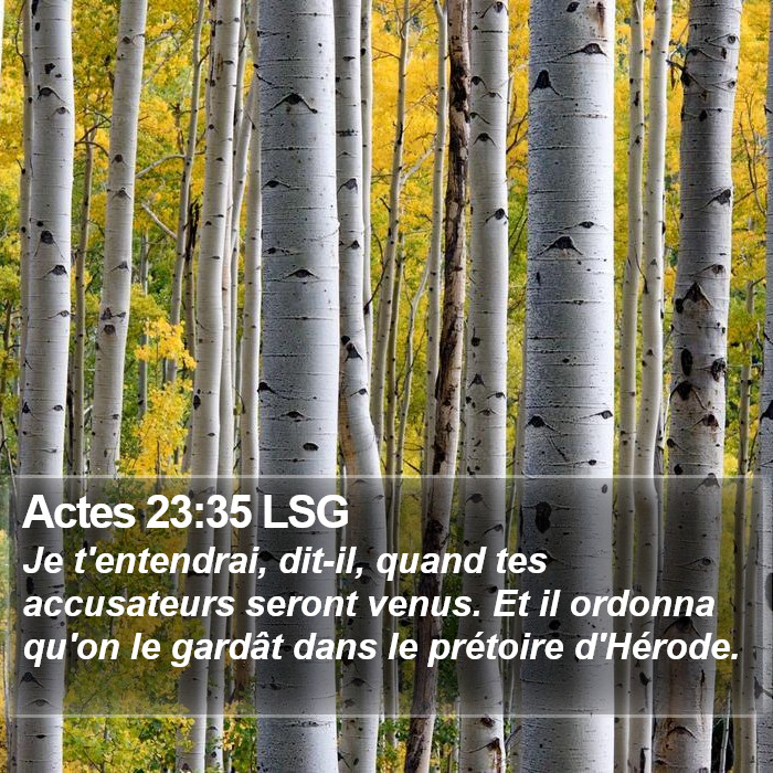 Actes 23:35 LSG Bible Study