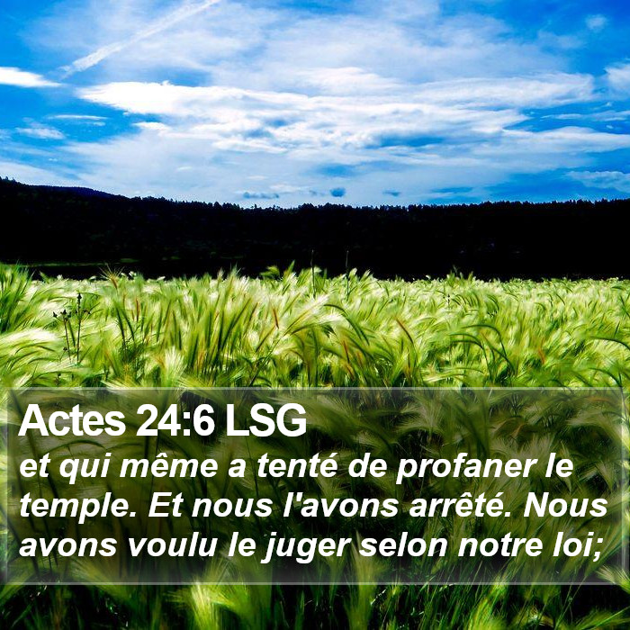 Actes 24:6 LSG Bible Study