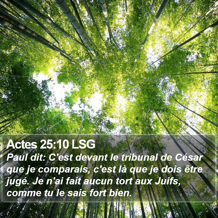 Actes 25:10 LSG Bible Study