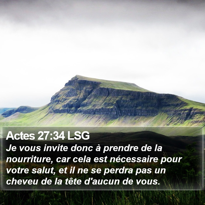 Actes 27:34 LSG Bible Study