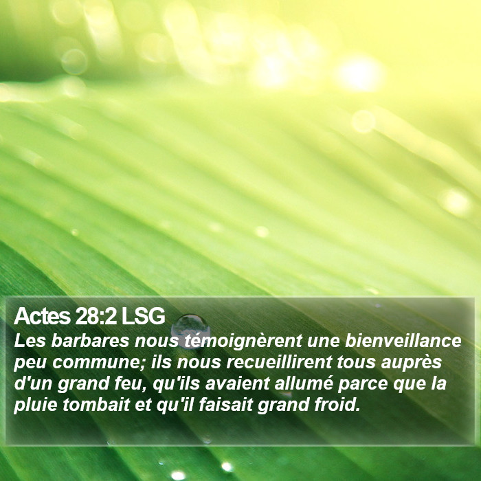 Actes 28:2 LSG Bible Study