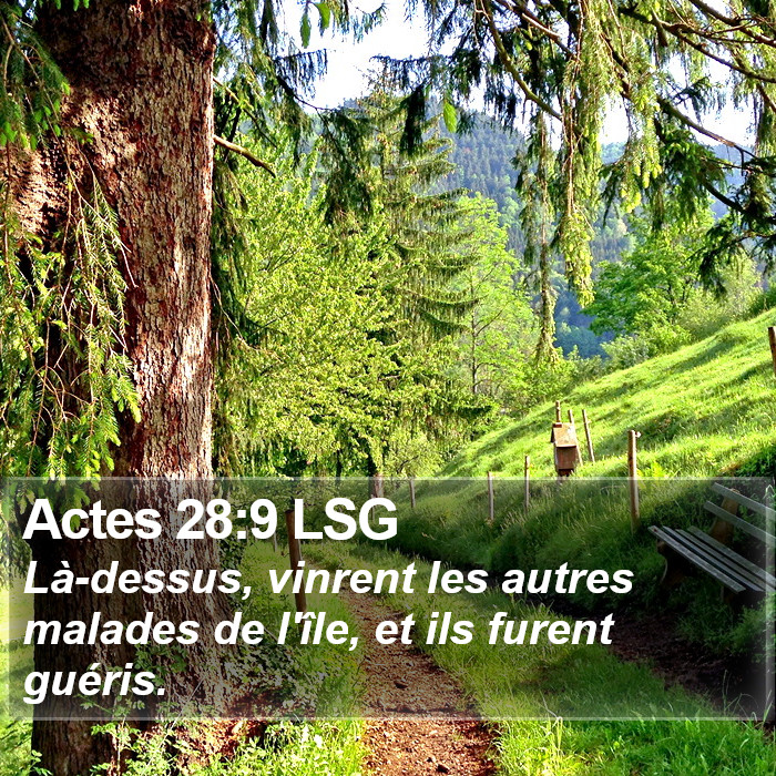 Actes 28:9 LSG Bible Study