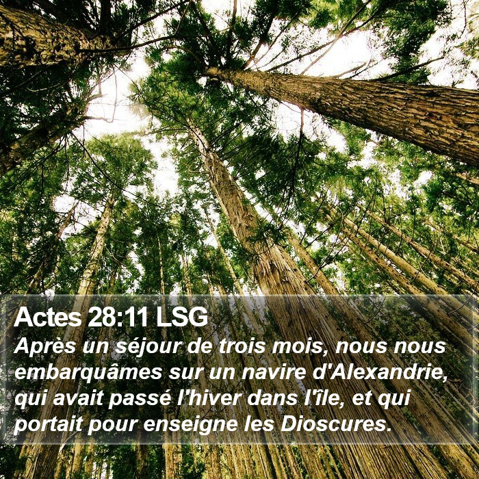 Actes 28:11 LSG Bible Study