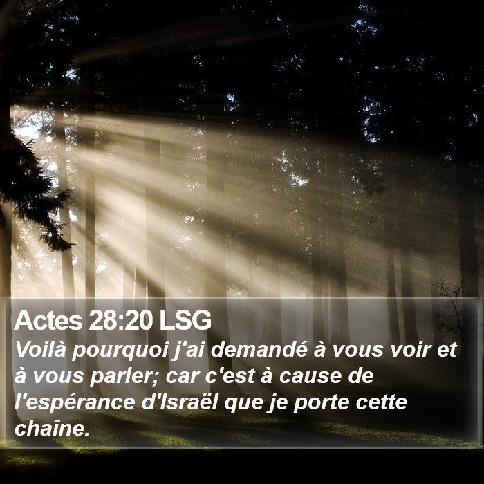 Actes 28:20 LSG Bible Study