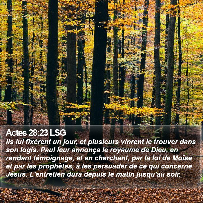 Actes 28:23 LSG Bible Study