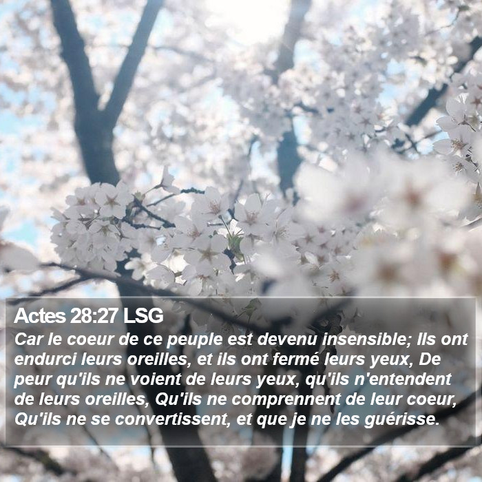 Actes 28:27 LSG Bible Study