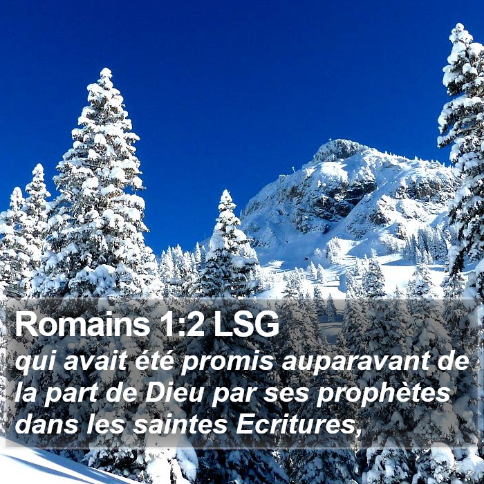 Romains 1:2 LSG Bible Study