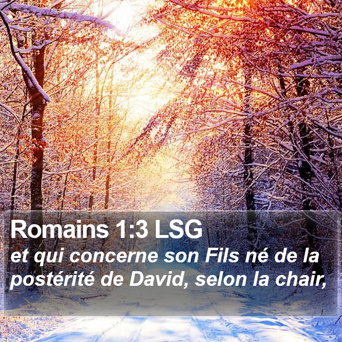 Romains 1:3 LSG Bible Study