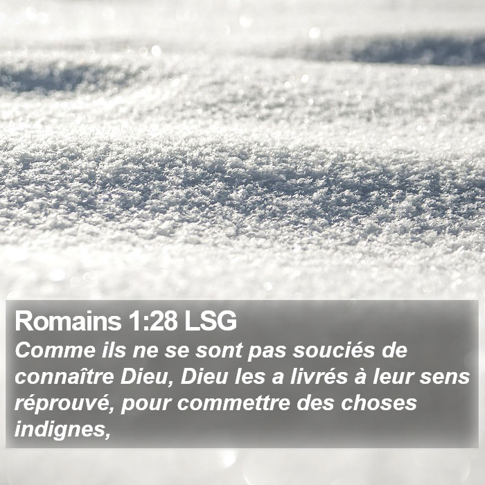 Romains 1:28 LSG Bible Study