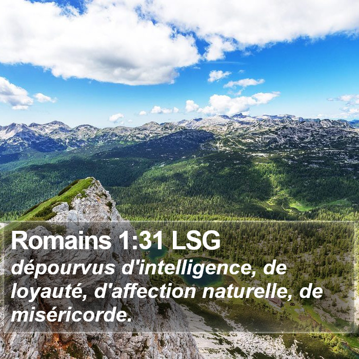 Romains 1:31 LSG Bible Study