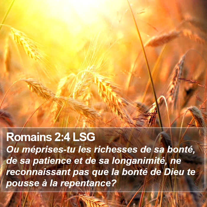 Romains 2:4 LSG Bible Study