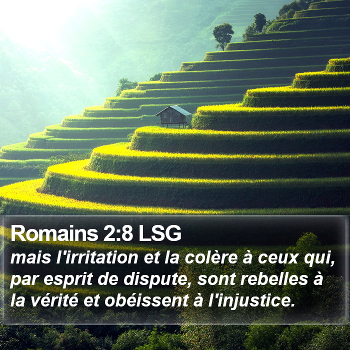 Romains 2:8 LSG Bible Study