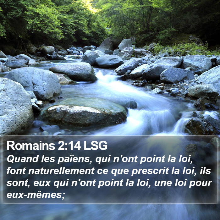 Romains 2:14 LSG Bible Study