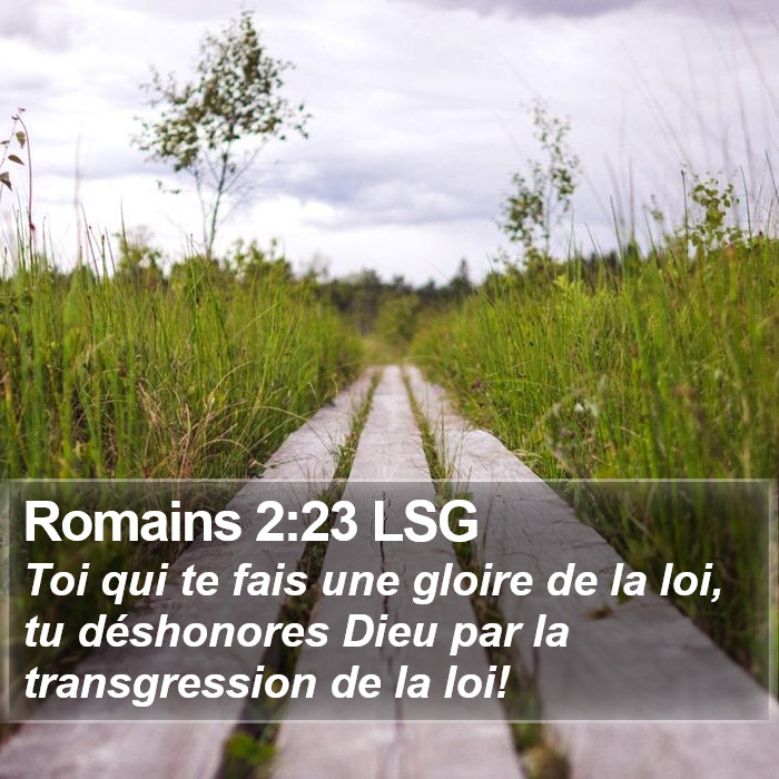 Romains 2:23 LSG Bible Study