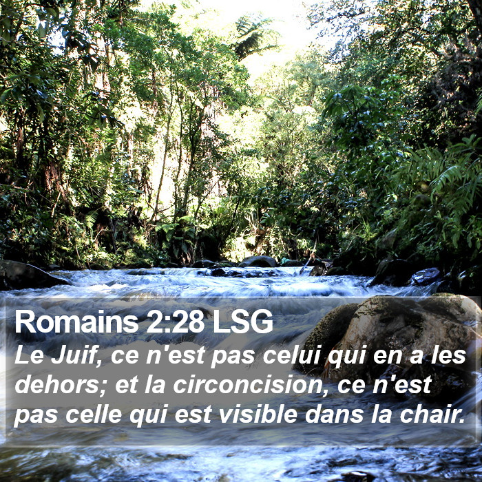 Romains 2:28 LSG Bible Study