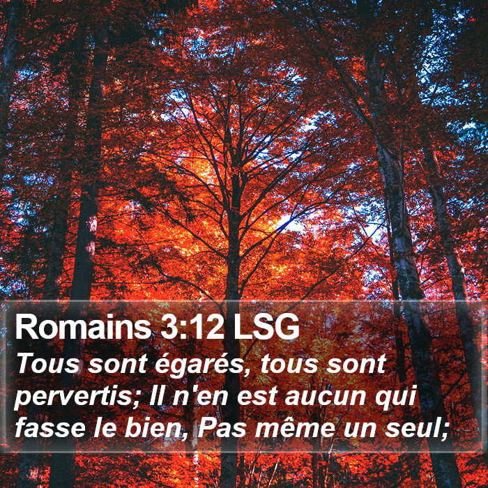 Romains 3:12 LSG Bible Study