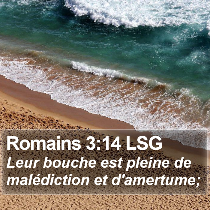 Romains 3:14 LSG Bible Study