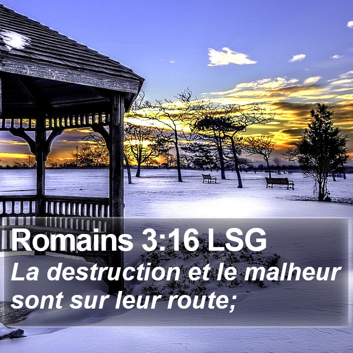 Romains 3:16 LSG Bible Study