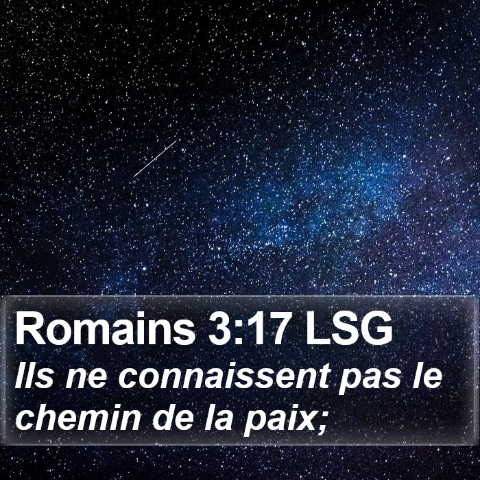 Romains 3:17 LSG Bible Study