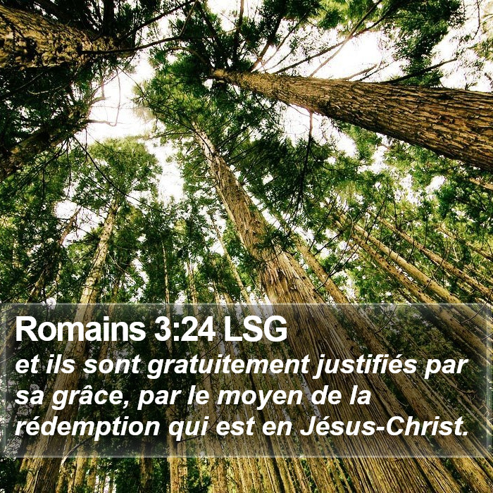 Romains 3:24 LSG Bible Study