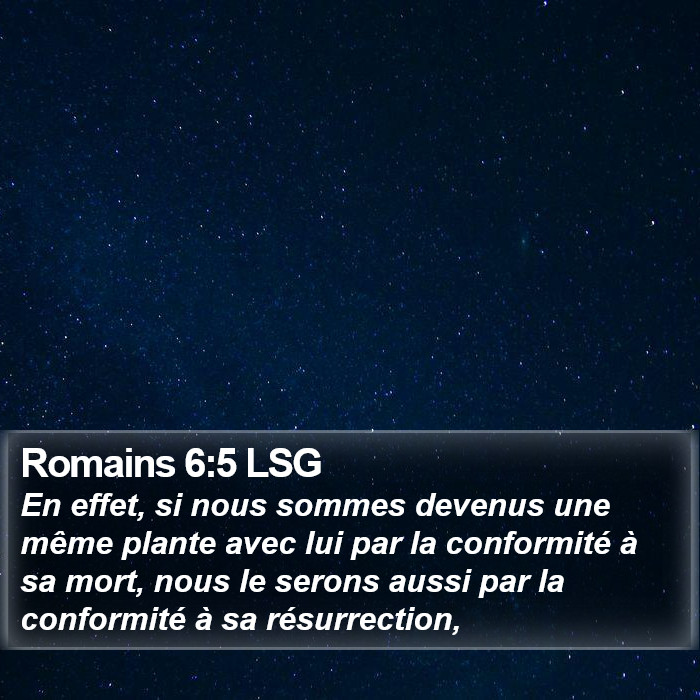 Romains 6:5 LSG Bible Study