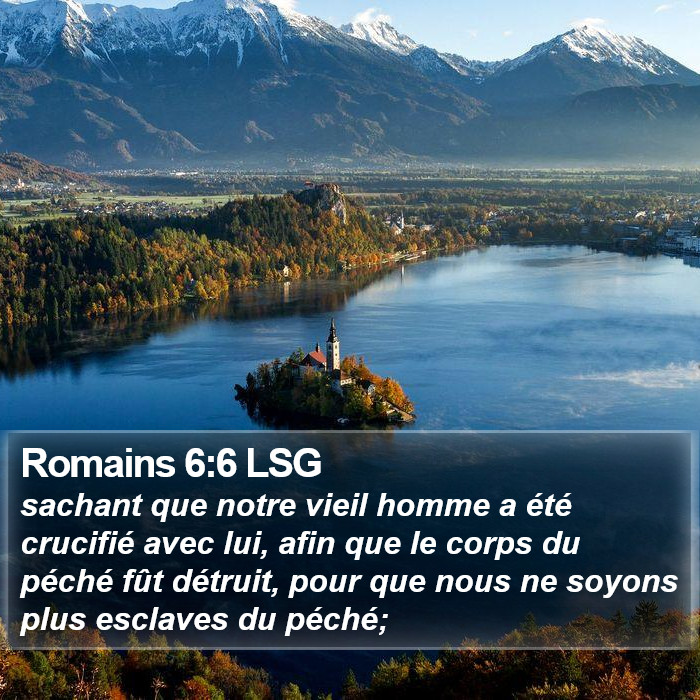 Romains 6:6 LSG Bible Study